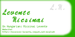 levente micsinai business card
